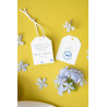 Biglietto Tag - Fiore Viola