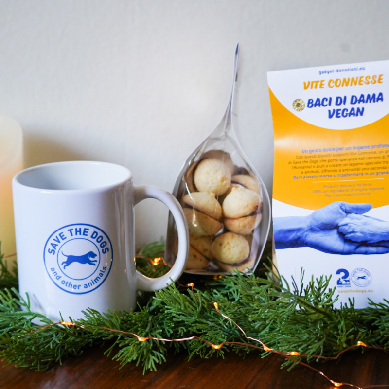 Tazza & Baci di Dama | Speciale Feste