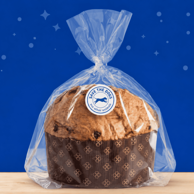 Panettone al cioccolato vegan